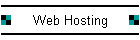 Web Hosting